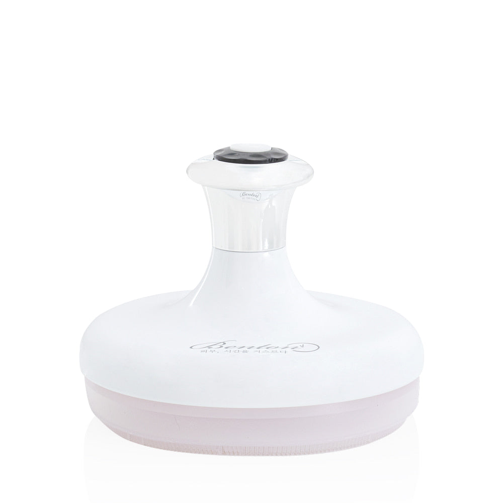 PORE CLEAR BRUSH