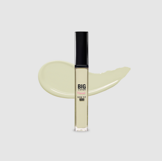 Big Cover Skin Fit Concealer Pro Neutral Mint 7g (24)