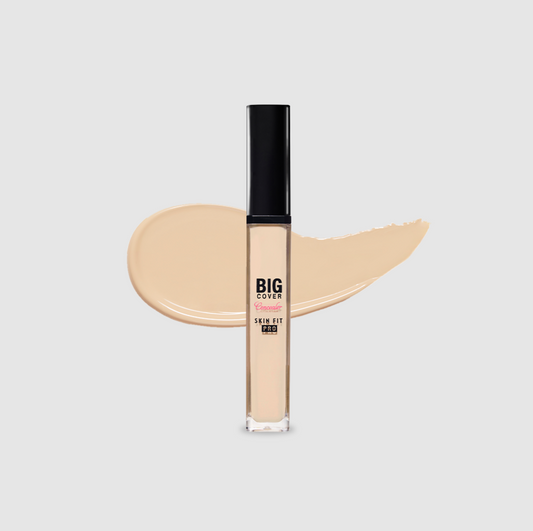 Big Cover Skin Fit Concealer Pro Neutral Beige 21N1 7g (24)