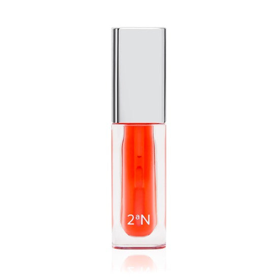 2aN Lip Oil 3g #Fall In Hibiscus 3g