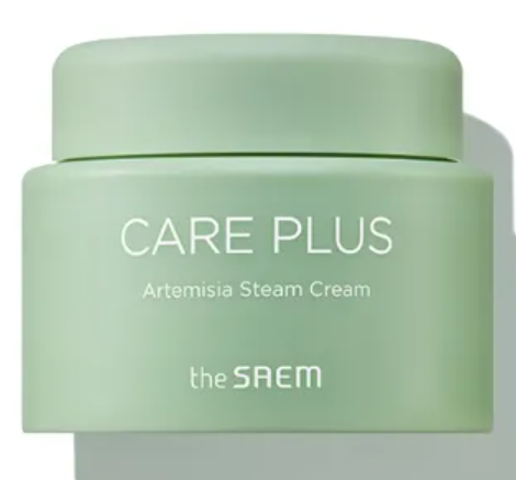 Care Plus Artemisia Steam Cream 100ml