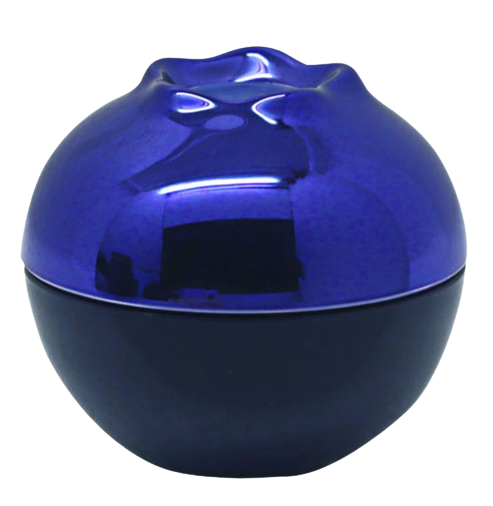 MINI FRUIT LIP BALM_BLUEBERRY 7g