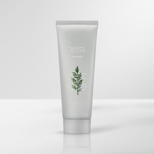 ARTEMISIA PACK FOAM CLEANSER 150ML
