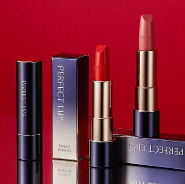PERFECT LIPS ROUGE INTENSE 03 3.5g