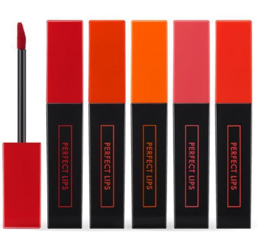 PERFECT LIP’S SHOCKING LIP 09 4g