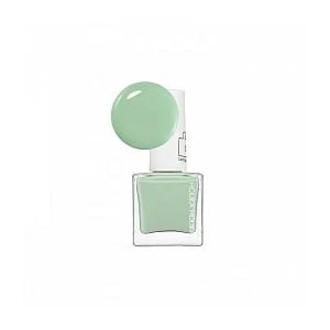 PIECE MATCHING NAILS (SS - LACQUER) GR05 10ml